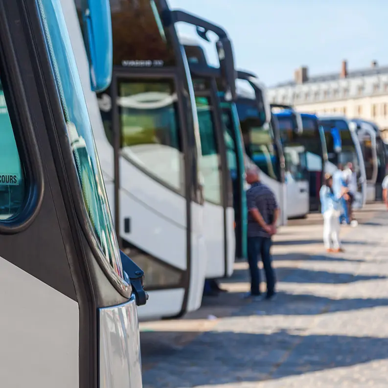 Charter buses parked in row
